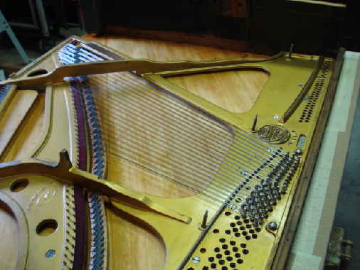 Restring tenor Restring tenor